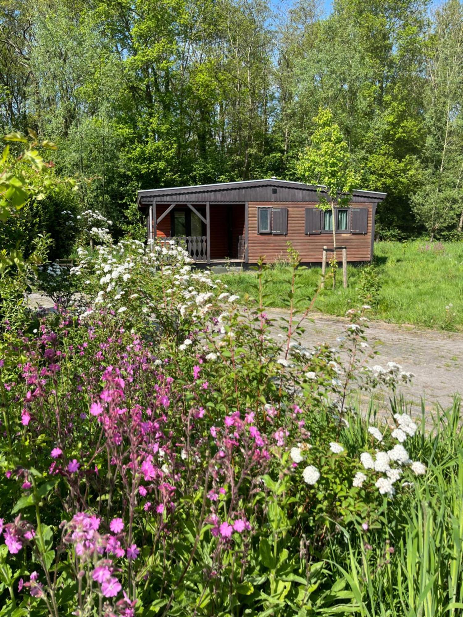Hoeve Veganza B&B Vlagtwedde Exterior foto