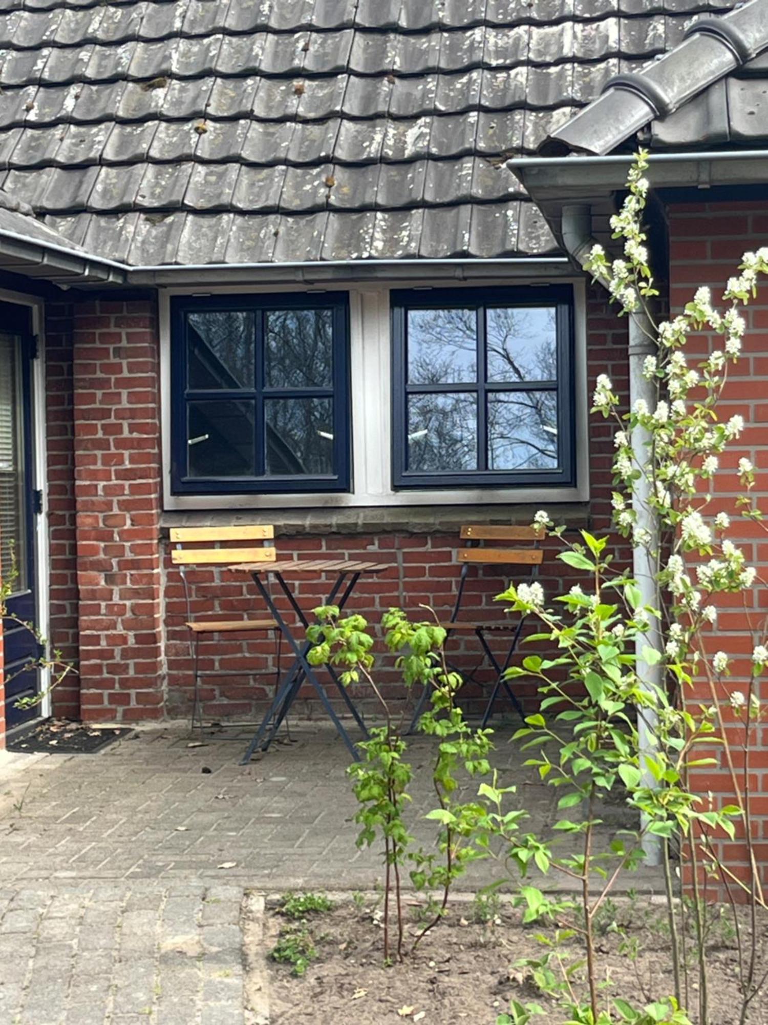 Hoeve Veganza B&B Vlagtwedde Exterior foto